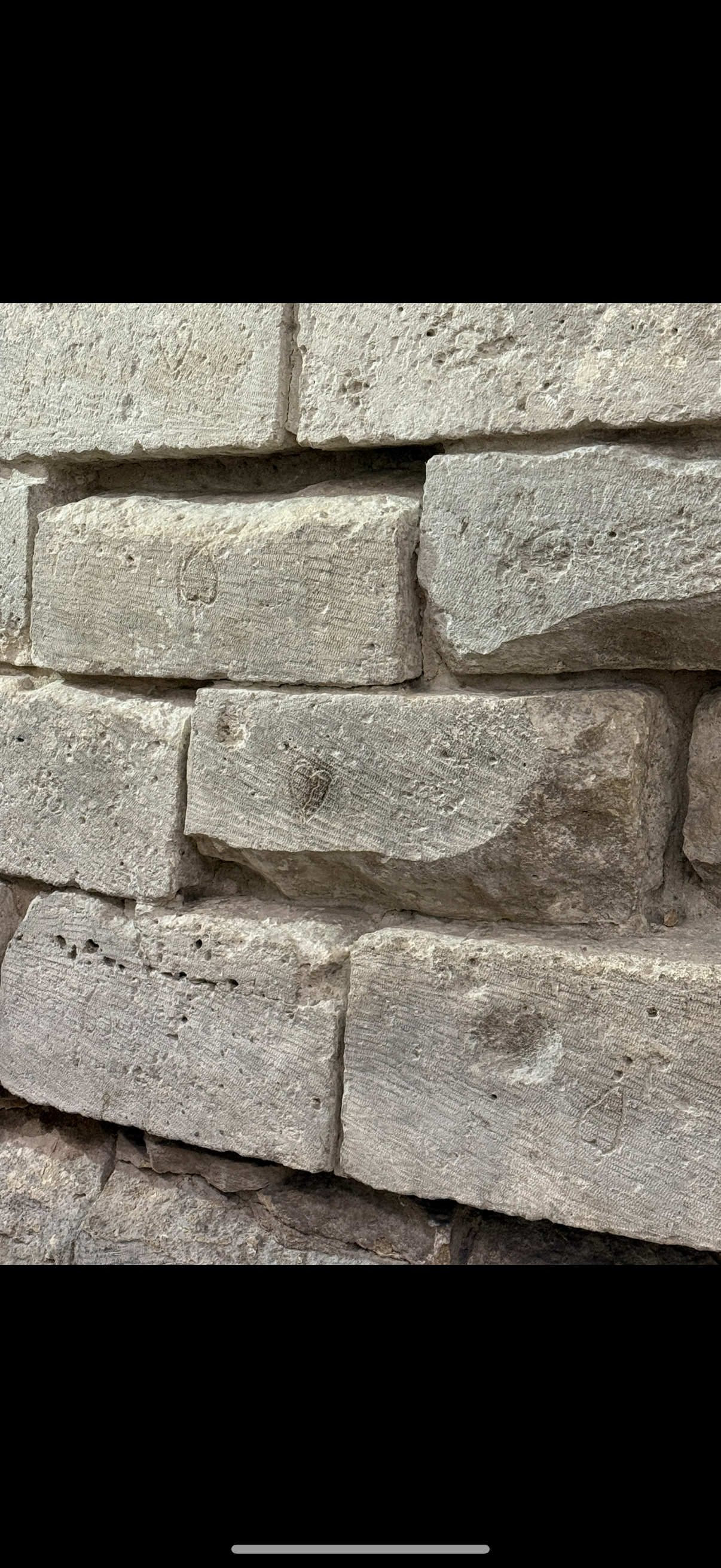 Lead with Love, Lion Heart Matte Canvas, Stretched 12 x 18" Louvre Carved Stone