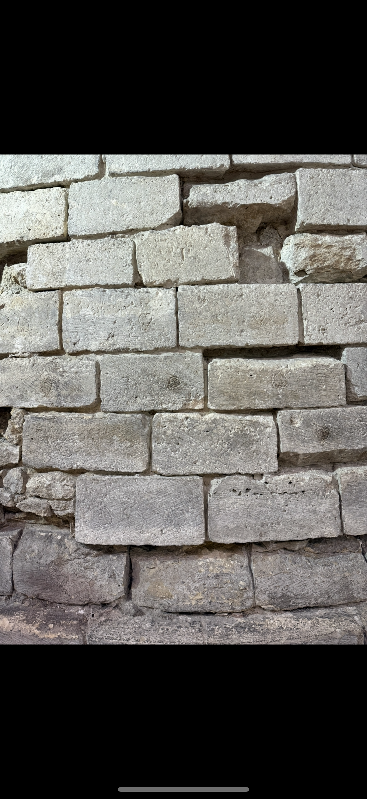 Lead with Love, Lion Heart Matte Canvas, Stretched 12 x 18" Louvre Carved Stone